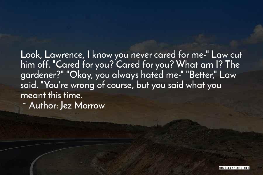 You Never Cared Quotes By Jez Morrow