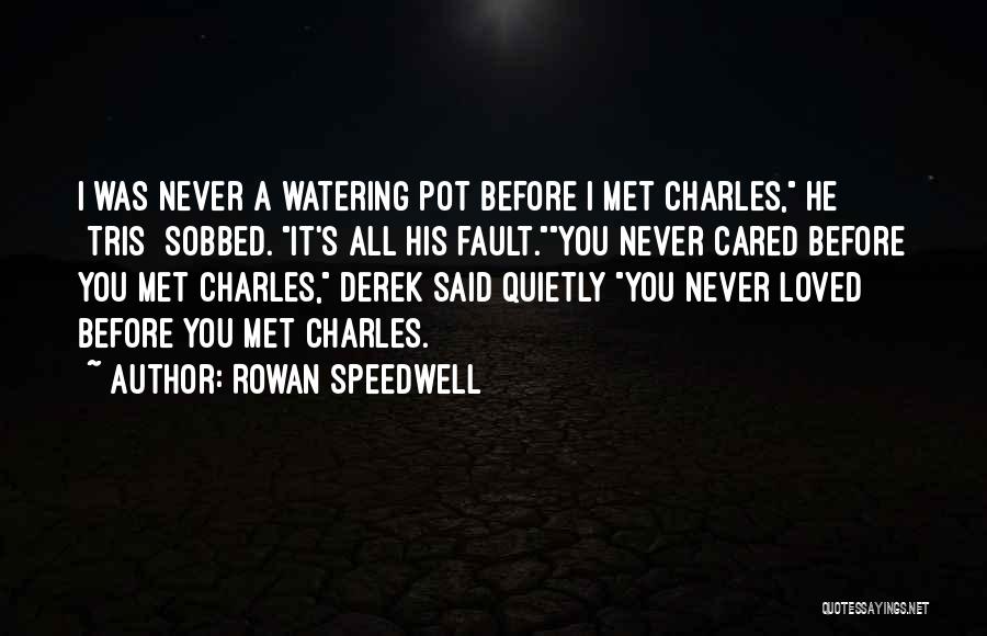 You Never Cared Quotes By Rowan Speedwell