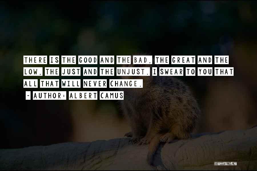 You Never Change Quotes By Albert Camus