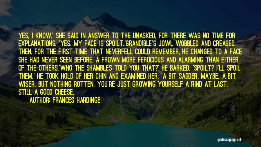 You Never Changed Quotes By Frances Hardinge