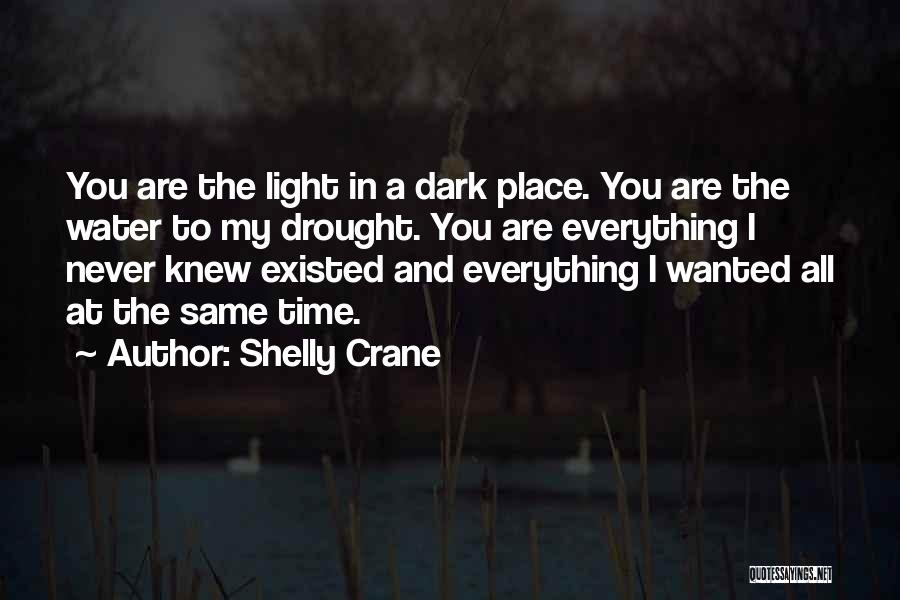 You Never Existed Quotes By Shelly Crane