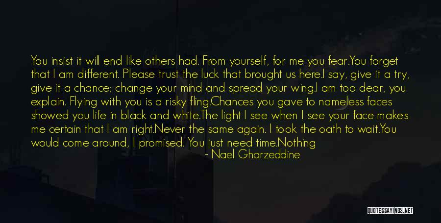 You Never Gave Me A Chance Quotes By Nael Gharzeddine You Never Gave Me A Chance Quotes By Nael Gharzeddine