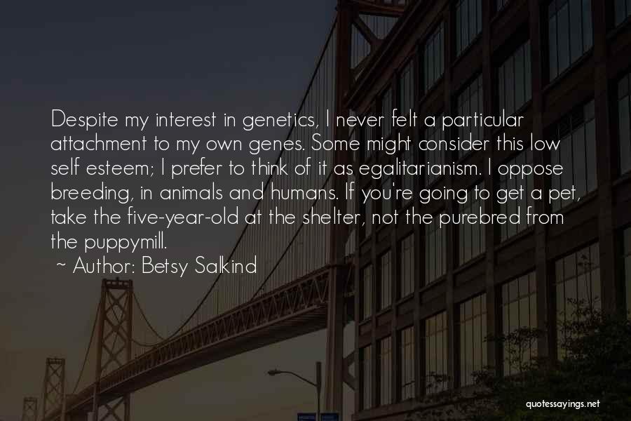 You Never Get Old Quotes By Betsy Salkind