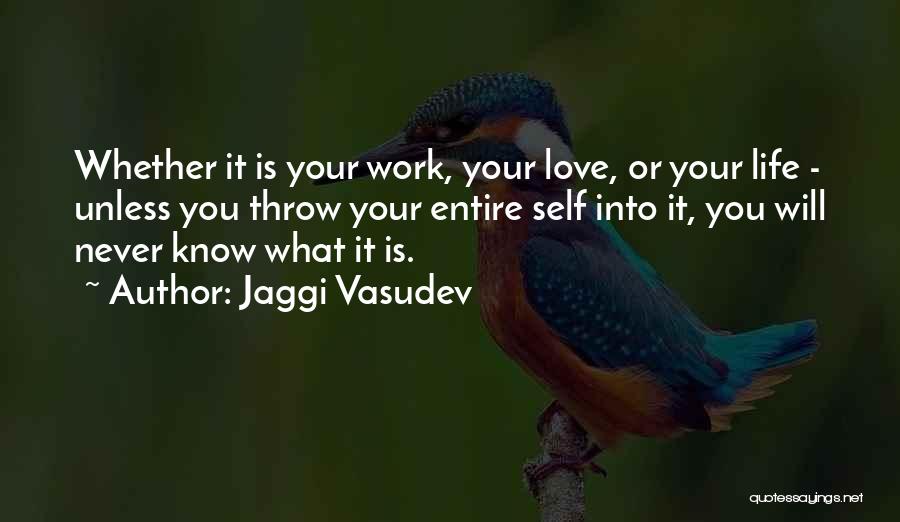 You Never Know Love Quotes By Jaggi Vasudev
