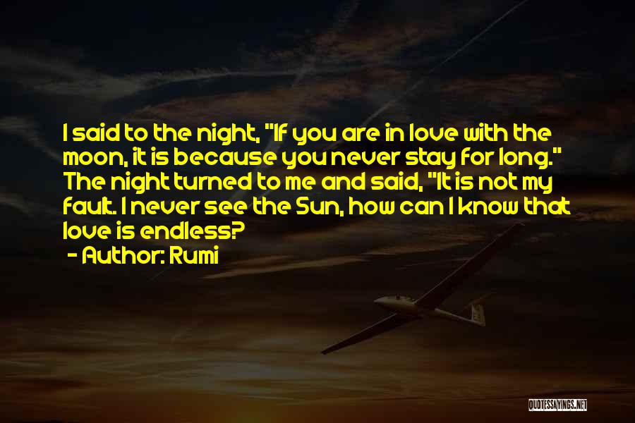 You Never Know Quotes By Rumi