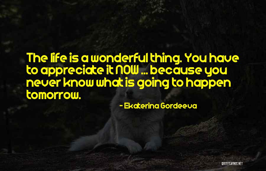 You Never Know Tomorrow Quotes By Ekaterina Gordeeva