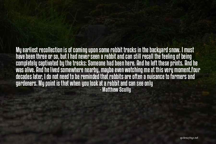 You Never See It Coming Quotes By Matthew Scully