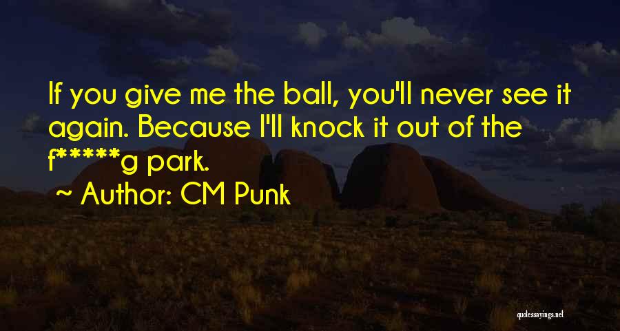 You Never See Me Again Quotes By CM Punk