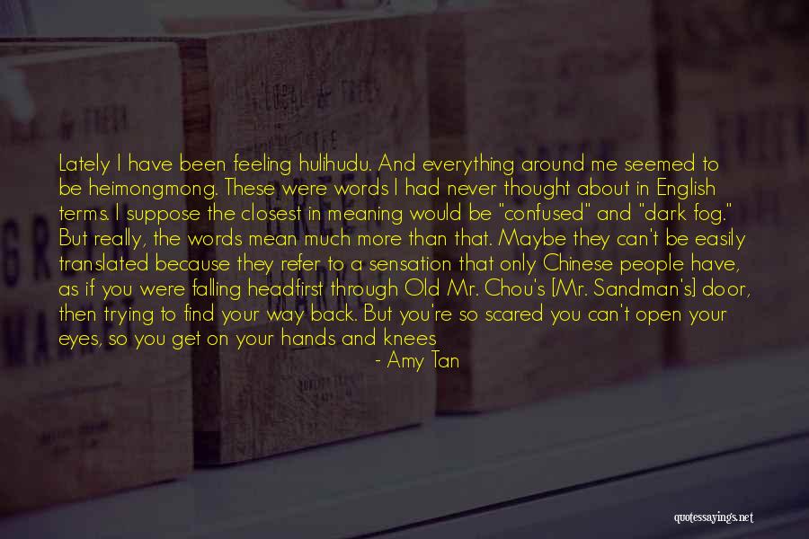 You Never Too Old Quotes By Amy Tan You Never Too Old Quotes By Amy Tan