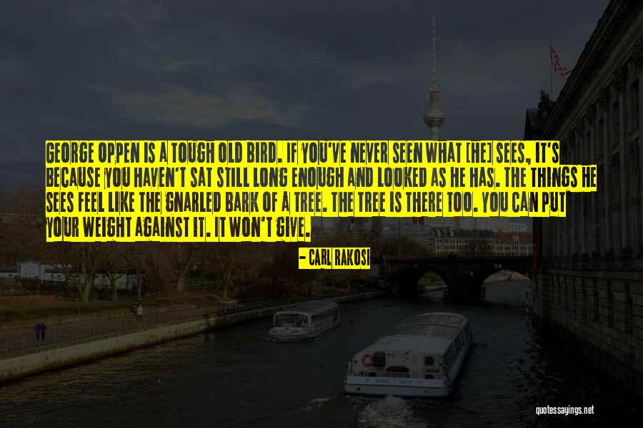 You Never Too Old Quotes By Carl Rakosi You Never Too Old Quotes By Carl Rakosi
