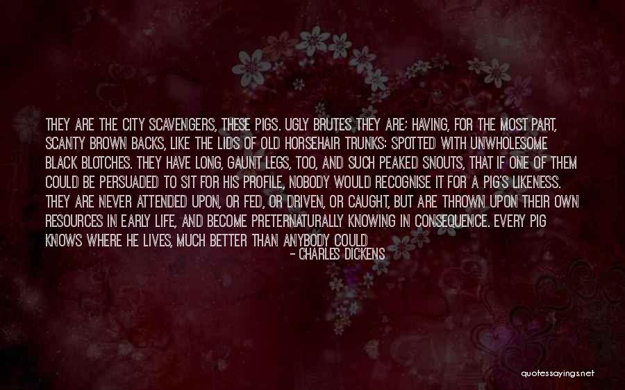 You Never Too Old Quotes By Charles Dickens You Never Too Old Quotes By Charles Dickens