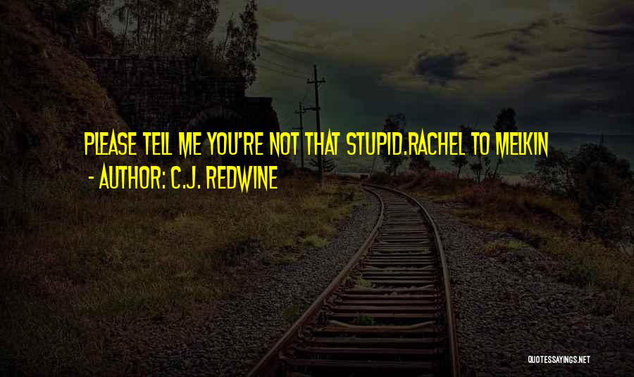 You Not Stupid Quotes By C.J. Redwine