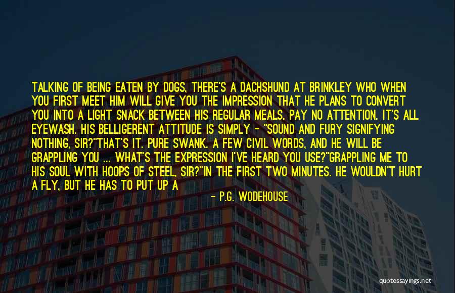 You Not Talking To Me Quotes By P.G. Wodehouse