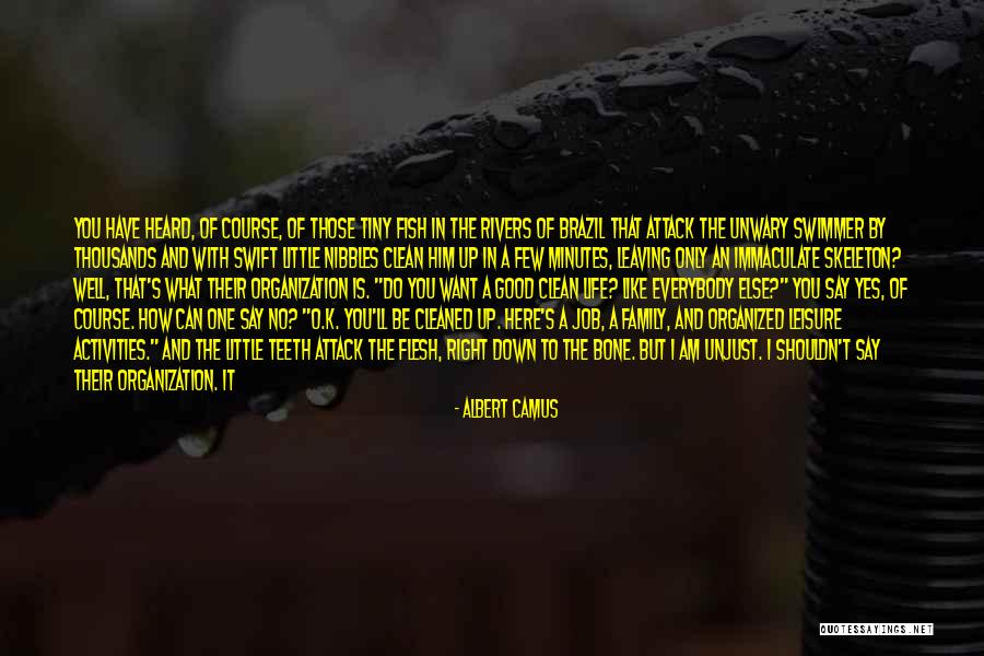 You Only Have One Family Quotes By Albert Camus You Only Have One Family Quotes By Albert Camus