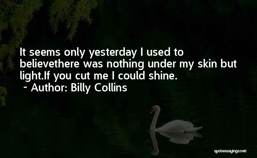 You Only Used Me Quotes By Billy Collins