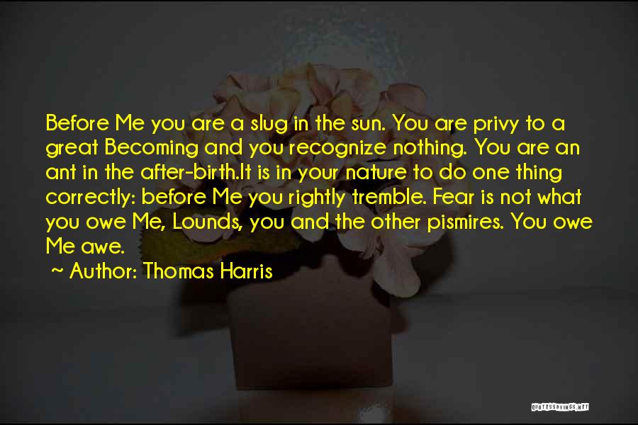 You Owe Me Nothing Quotes By Thomas Harris