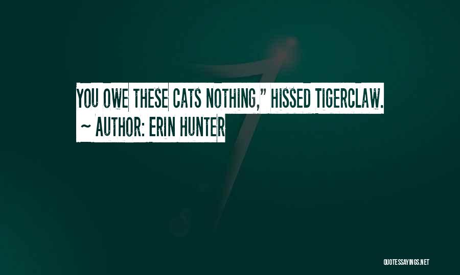 You Owe Nothing Quotes By Erin Hunter