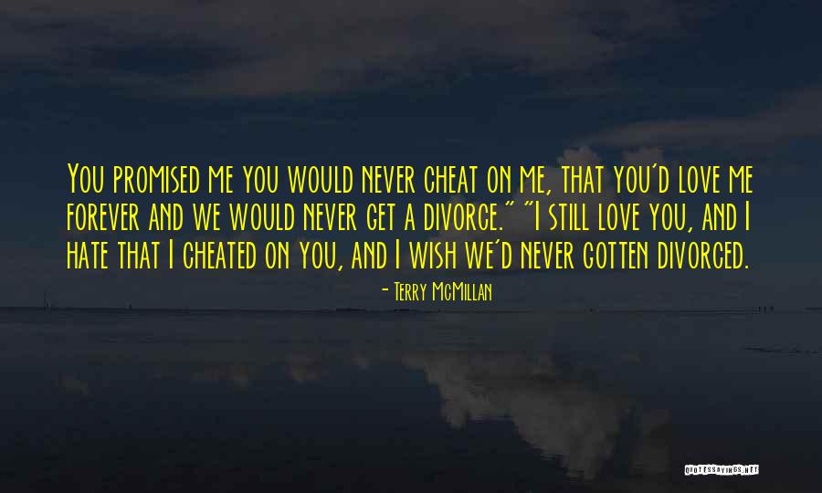 You Promised Me Love Quotes By Terry McMillan You Promised Me Love Quotes By Terry McMillan