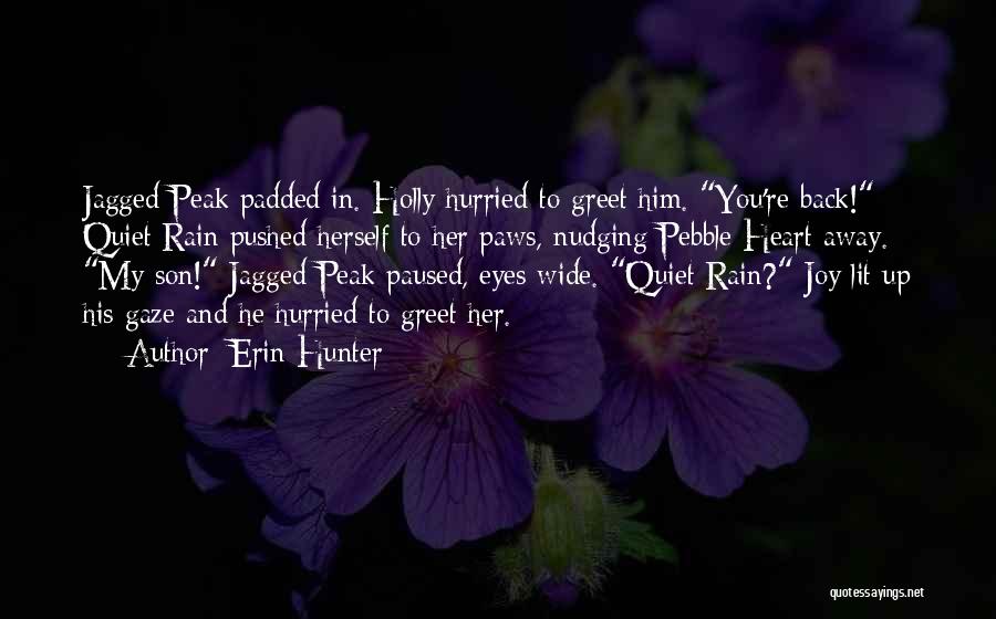 You Pushed Her Away Quotes By Erin Hunter