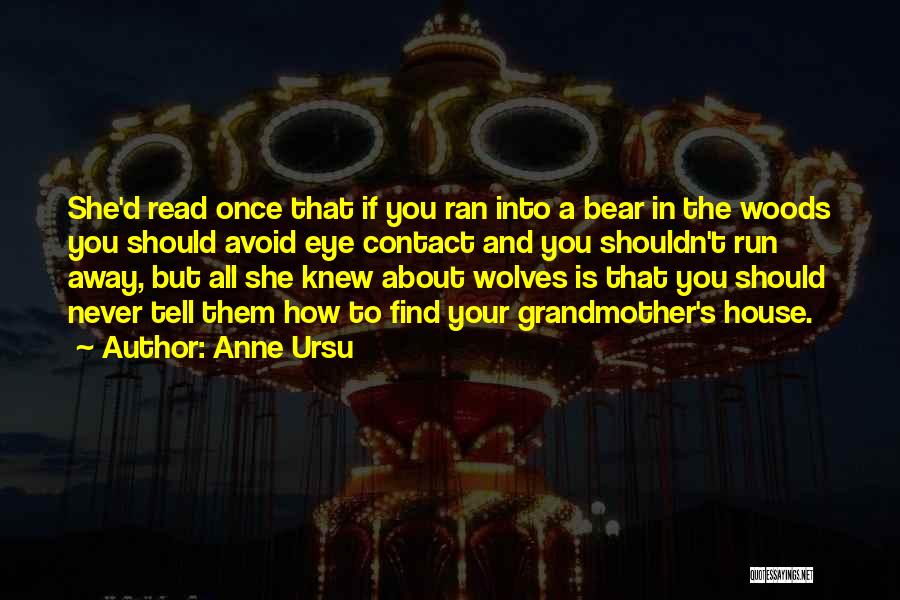 You Ran Away Quotes By Anne Ursu