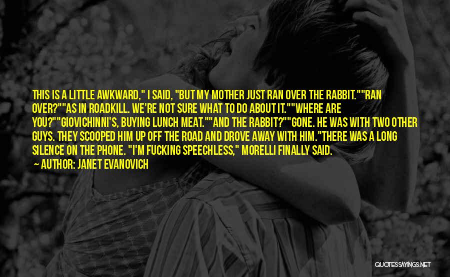 You Ran Away Quotes By Janet Evanovich