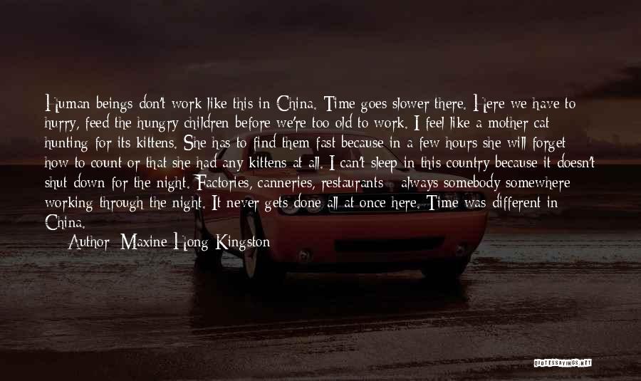 You Re Never Too Old Quotes By Maxine Hong Kingston