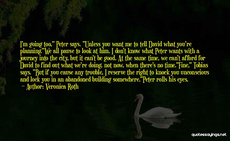 You Re Not Doing It Right Quotes By Veronica Roth