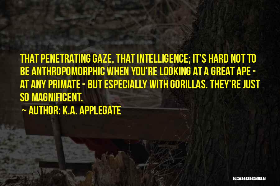 You Re Not That Great Quotes By K.A. Applegate