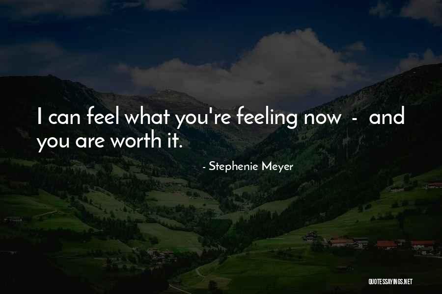 You Re Worth It Quotes By Stephenie Meyer