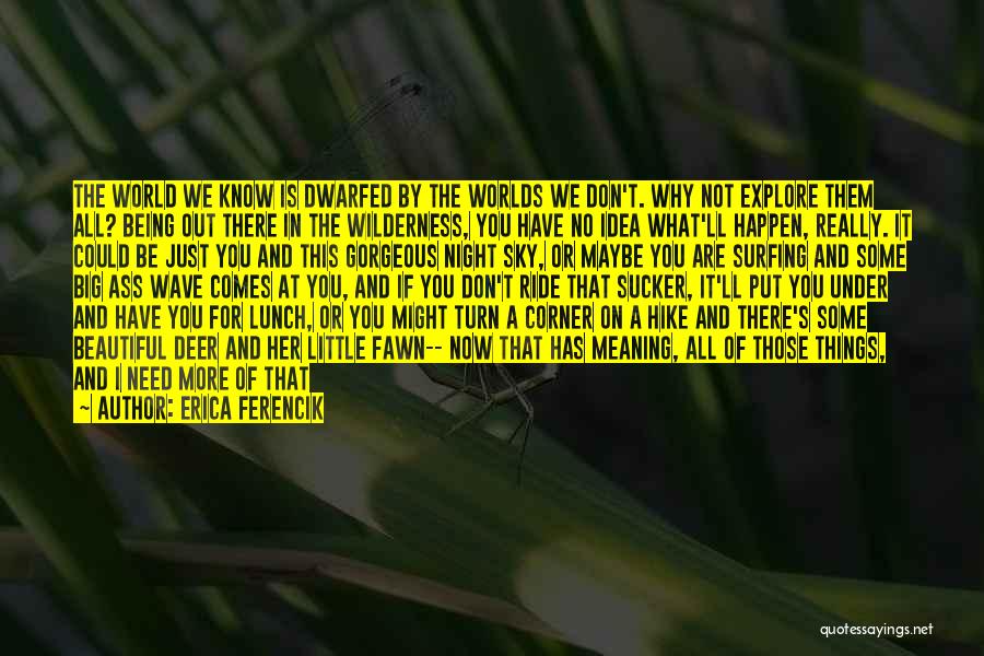 You Really Have No Idea Quotes By Erica Ferencik