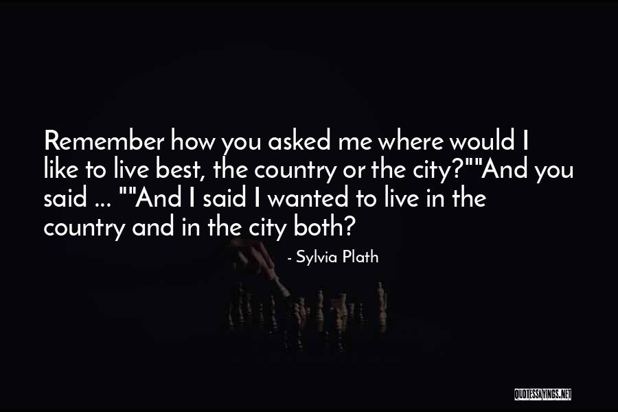 You Remember Me Quotes By Sylvia Plath