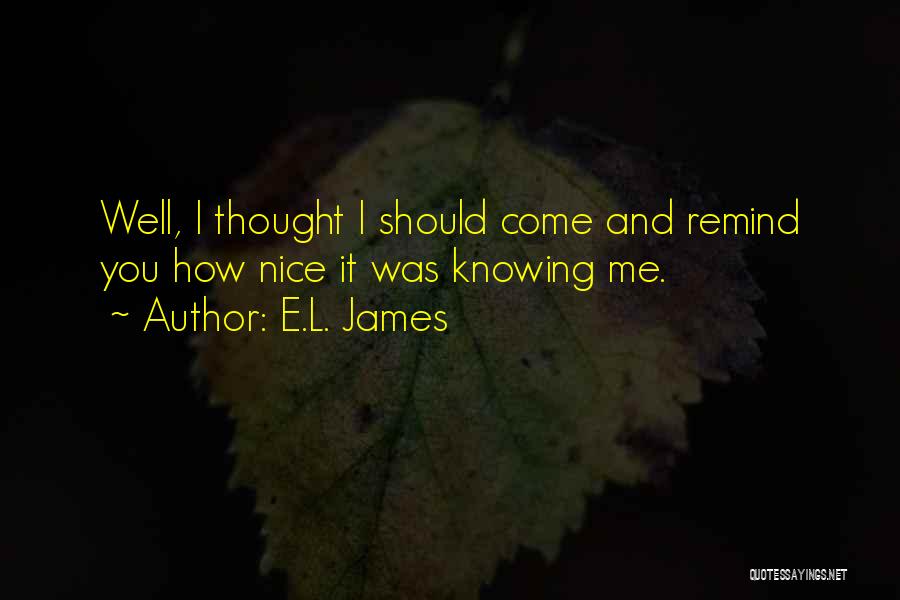 You Remind Me Quotes By E.L. James