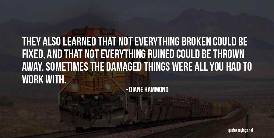 You Ruined Everything Quotes By Diane Hammond