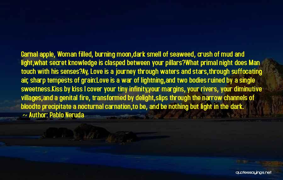 You Ruined My Night Quotes By Pablo Neruda