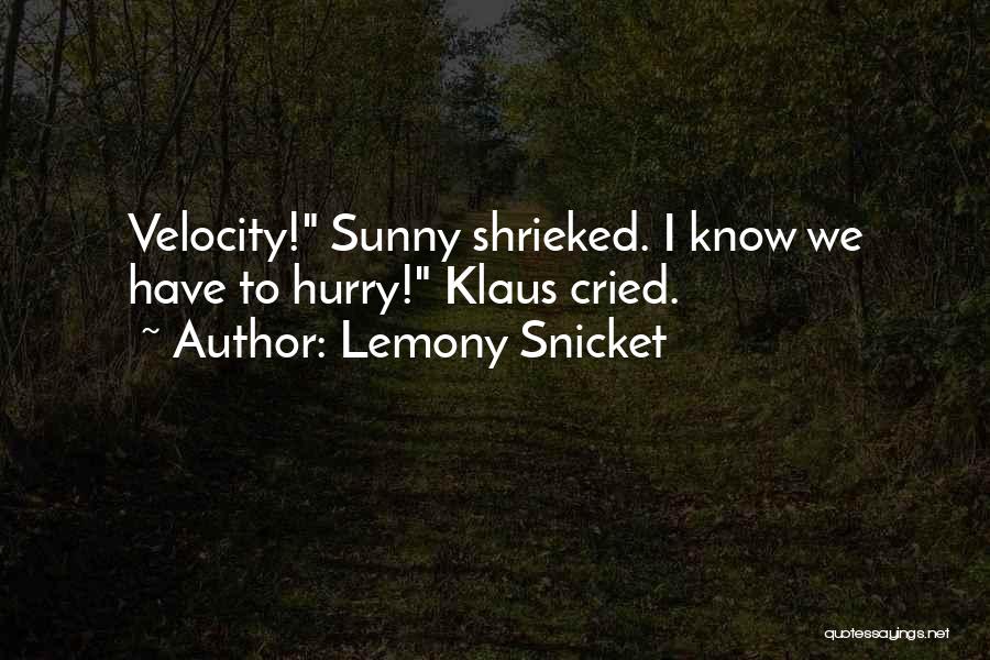 You Shall Know Our Velocity Quotes By Lemony Snicket