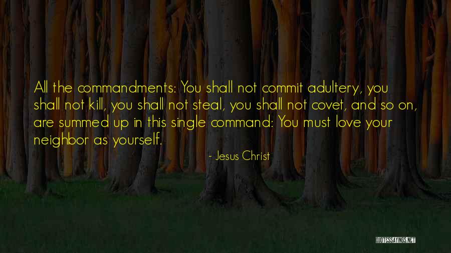 You Shall Not Kill Quotes By Jesus Christ