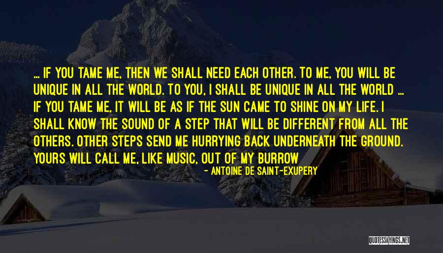 You Shine Like The Sun Quotes By Antoine De Saint-Exupery You Shine Like The Sun Quotes By Antoine De Saint-Exupery