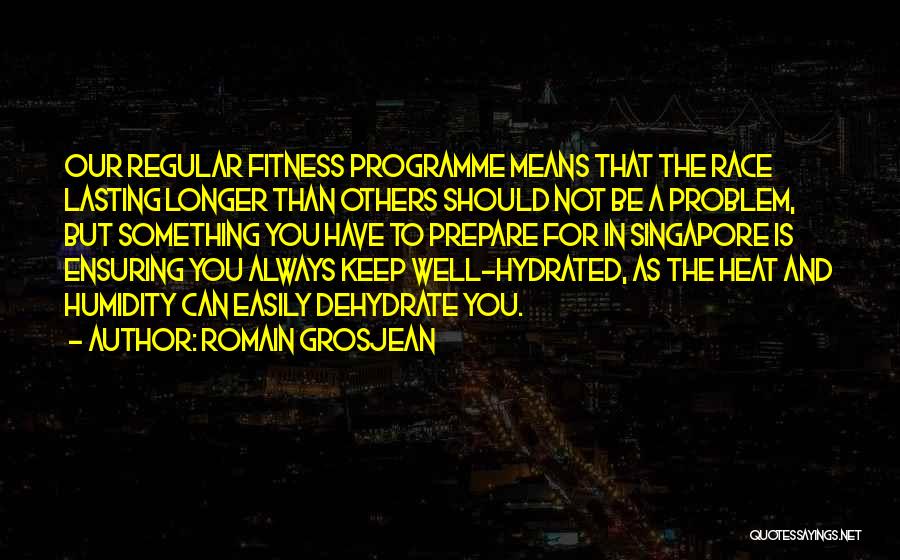 You Should Have Quotes By Romain Grosjean