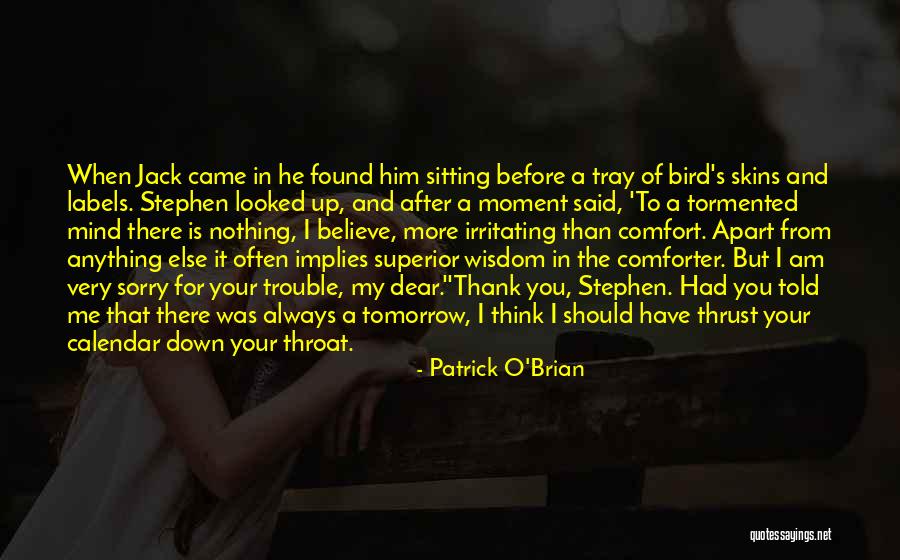 You Should Have Said Sorry Quotes By Patrick O'Brian