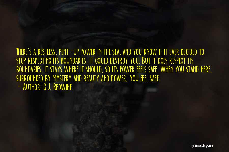 You Should Know Where You Stand Quotes By C.J. Redwine