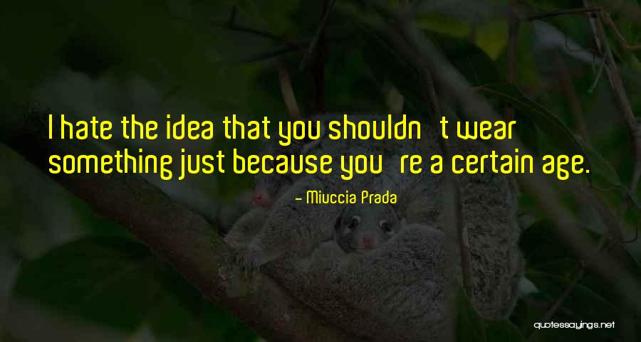 You Shouldn't Hate Yourself Quotes By Miuccia Prada You Shouldn't Hate Yourself Quotes By Miuccia Prada