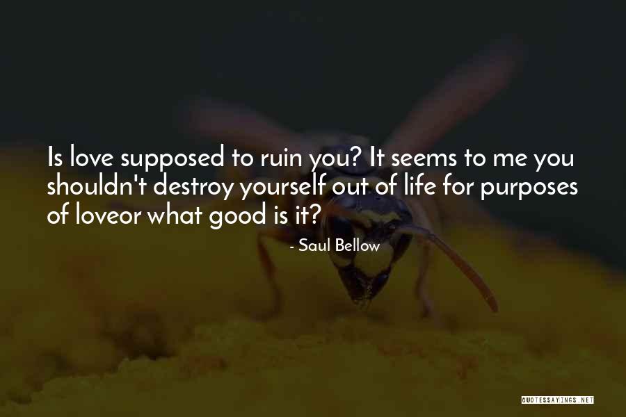 You Shouldn't Love Me Quotes By Saul Bellow You Shouldn't Love Me Quotes By Saul Bellow