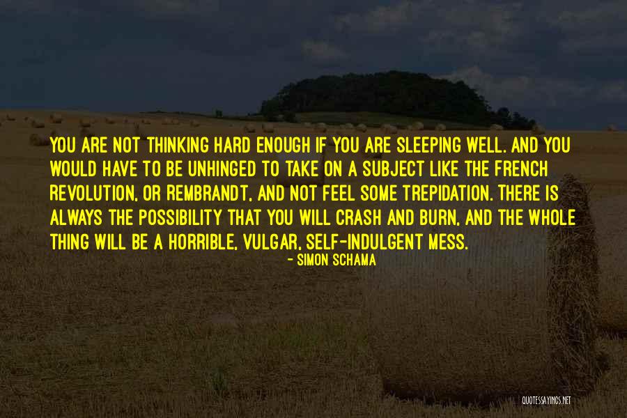 You Sleeping Quotes By Simon Schama