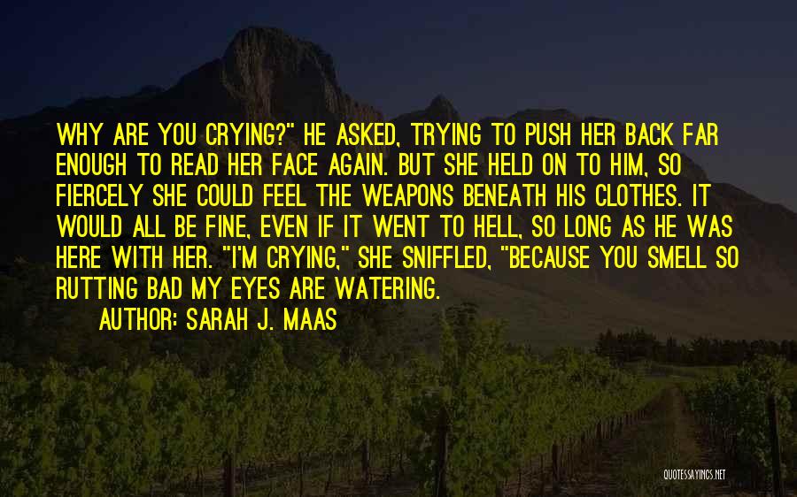 You Smell Bad Quotes By Sarah J. Maas