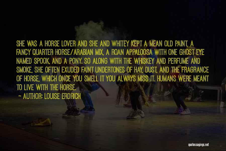 You So Mean Quotes By Louise Erdrich You So Mean Quotes By Louise Erdrich