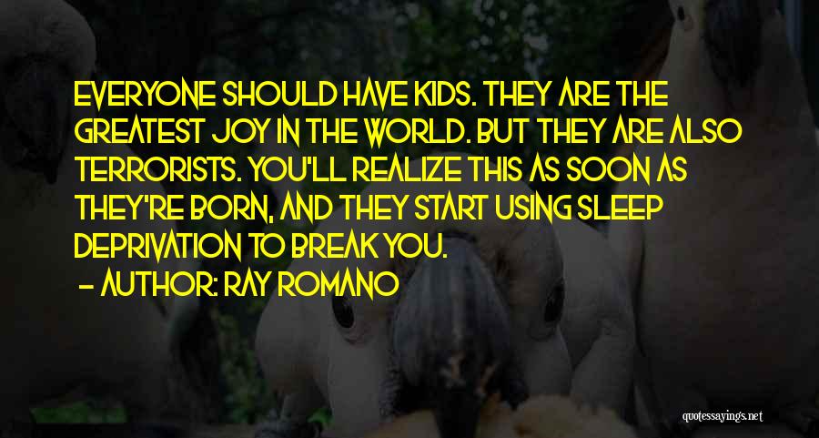 You Soon Realize Quotes By Ray Romano