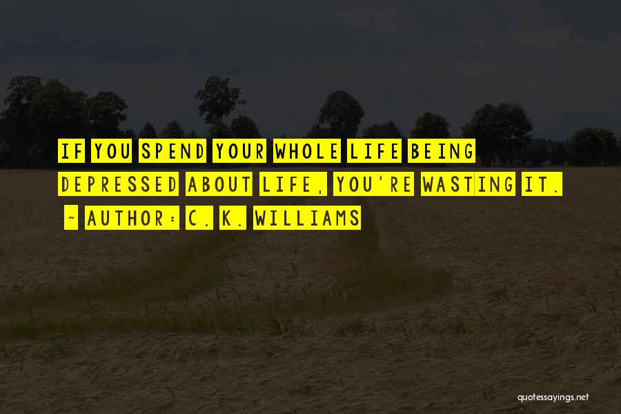 You Spend Your Whole Life Quotes By C. K. Williams