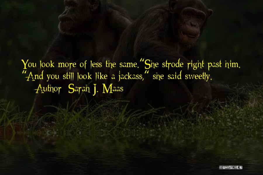 You Still Look The Same Quotes By Sarah J. Maas