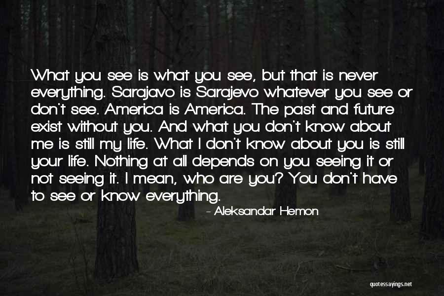 You Still Mean Everything To Me Quotes By Aleksandar Hemon