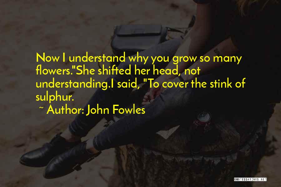 You Stink Quotes By John Fowles